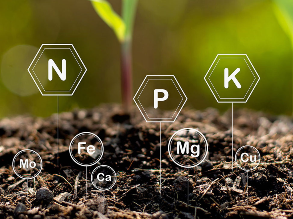 Right Fertilizer Use